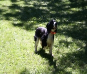 July4th2011 279